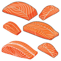 Colorful Illustration of Various Slices of Salmon