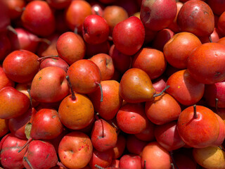 Red Anjou pears for sale at an outdoor market. At Avondale Sunday Market in Auckland. New Zealand's longest-running market.