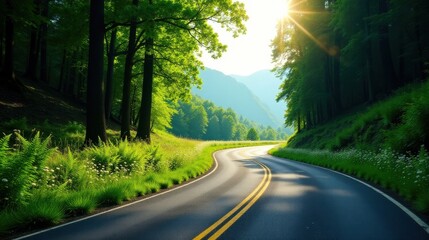 Obraz premium Serene Winding Road Through Lush Green Forest, Bathed in Golden Sunlight, Offers a Tranquil Journey Through Nature's Embrace
