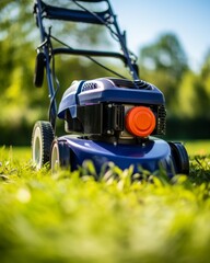 Essential tips and techniques for maintaining a healthy and vibrant lawn year round