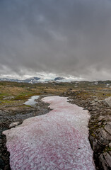 upper valleys. Lom is a municipality in the province of Oppland, Norway. It is part of the traditional region of Gudbrandsdal.