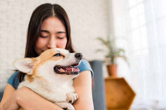A young Asian woman embraces her happy Corgi dog indoors, expressing love, warmth, and companionship. The dog's joyful expression highlights the deep emotional bond between pets and owners.
