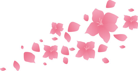 Cherry Blossom Petals 