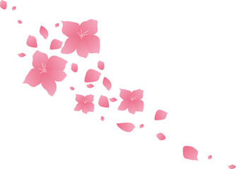 Cherry Blossom Petals 