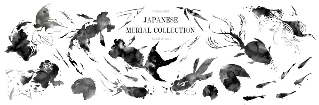 「日本の夏、金魚の水墨画セット」ベクター、イラスト、暑中お見舞い、夏祭り