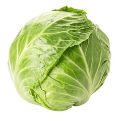Fresh green cabbage isolated on transparent background  

