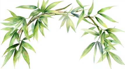 Obraz premium Watercolor of Green bamboo forest isolated on white background,hand drawn seamless bamboo pattern,Perfect for wallpapers,web page, surface textures, space for text.