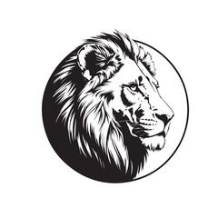 lion illustration design or vector 