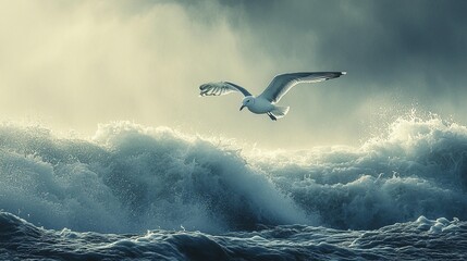 Obraz premium Ocean Bird Soaring Above Waves