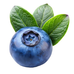 Obraz premium Bilberry fruit isolated on transparent background 