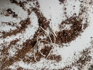 chocolate cake background