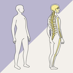 Illustrative rendition showing a human figure with an internal skeletal view