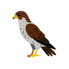 Animal illustration