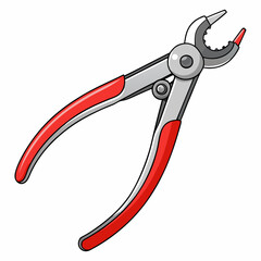 surgical forceps with a locking mechanism