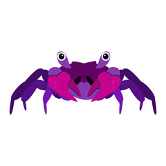 Animal illustration