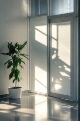 Fototapeta premium Office plant sunlight shadow interior design