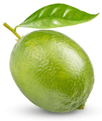 Sour lime with green leaf isolated on white background, Fresh lime on white With clipping path