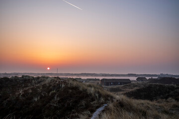 morning mist in the heath