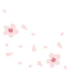 Cherry Blossom Petals