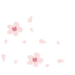 Cherry Blossom Petals