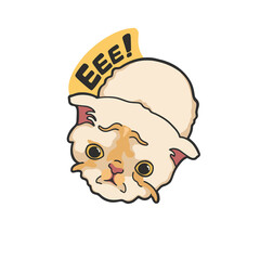 EEE Angry Cat Meme Sticker PNG T-shirt Cute Illustration