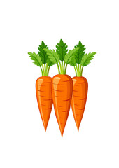 carrots with leaves