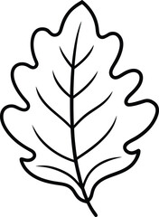 Minimalist Oak Leaf Outline - Autumn and Fall Vector Illustration