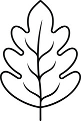 Elegant Oak Leaf Line Art Vector - Minimalist Autumn and Fall Illustration
