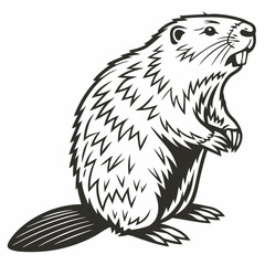 beaver