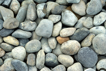 Smooth pebbles background or Gray pebbles on a pebble beach, top view.	