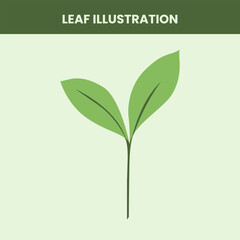 Minimalist Tropical Leaf Illustration