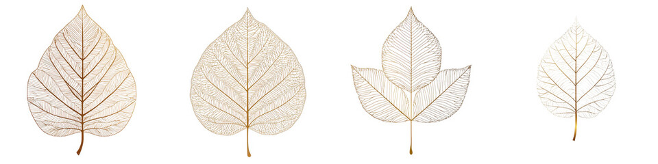 A collection of delicate and ethereal botanical leaf textures in natural shades creating a serene and calming atmosphere