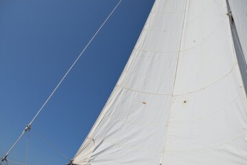 A Majestic White Sail of a Yacht Gliding Under a Clear Blue Sky on a Serene Day at Sea, Highlighting the Beauty of Sailing Adventure