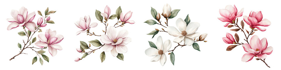 Naklejka premium Stunning closeup view of soft delicate pink and white magnolia flowers blooming on tree branches Gorgeous floral background with lush greenery and petals Natural romantic