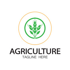 Green logo creative template design. Logo for nature and agriculture products.