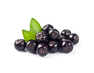 Black chokeberry with leaves. Aronia