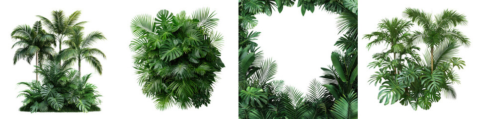 Vibrant Tropical Foliage Frame with Lush Palm Leaves and Greenery in Peaceful Natural Setting  Exotic Jungle Landscape with Flourishing Vegetation Framing Empty Copy Space for Text or Design