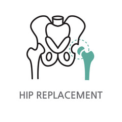 22.HIP REPLACEMENT.Bone, joint, hip icon. Edible bone, joint, hip linear illustration icon on white background. EPS, PNG, JPG
