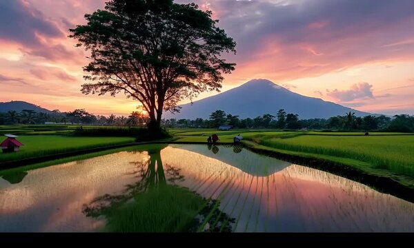 Sunrise over Rice Paddies with Mountain Reflection