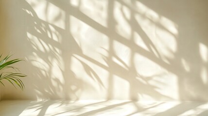 Sunlight Shadow Patterns on Beige Wall with Green Plant