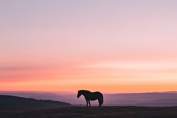 silhouette of lone horse standing on hilltop framed by vivid sunset sky