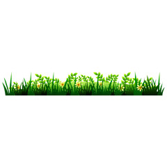 Flower Garden Illustration