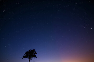 Fototapeta premium Slightly dark stock-image featuring rich, deep teal tones in a calm night sky, with countless stars twinkling above and a lone tree silhouette, creating a peaceful and inspiring atmosphere