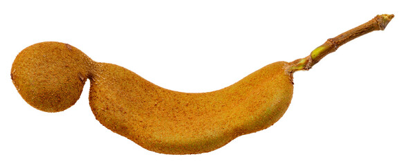 Naklejka premium Young pods of tamarind, a tropical fruit with a sweet and sour taste on white background , Tamarind tropical fruit isolate on white PNG file.
