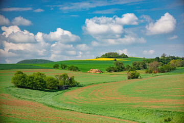 Obraz premium Idyllic rolling hills bathed in sunlight with vibrant green fields and fluffy white clouds creating a picturesque landscape