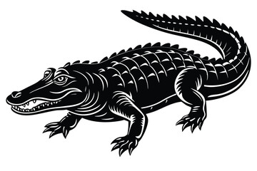 Fototapeta premium a crocodile illustration silhouette on White Background