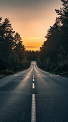Driving Along Country Road at Sunset Between Dark Forest Trees