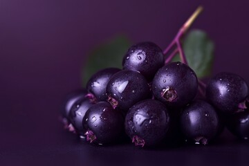 Macro shot of dark purple serviceberries on matte background