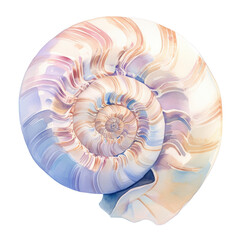 Exploring the beauty of nautilus shells in nature artistic representation and patterns