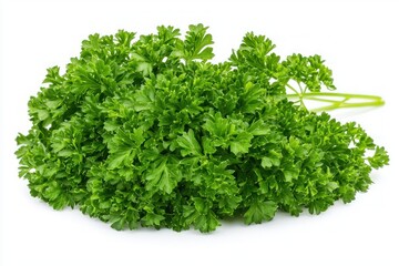 Fototapeta premium Lush Green Parsley Bunch on White Background Capturing Freshness Naturalness Culinary Herb and Vibrant Color